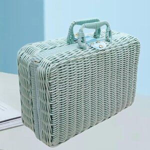 🆕️Blue Rattan Bag Case